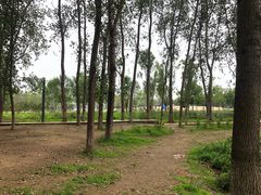 -东郊湿地公园