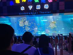 -泉城欧乐堡海洋极地世界