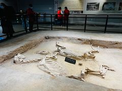 -洛阳周王城天子驾六博物馆