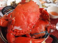 -阿英煲(凉城路店)