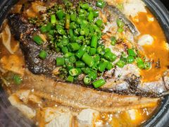 -探鱼·鲜青椒爽麻烤鱼(领展购物广场店)