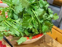 -潘小辣鲜肉老火锅