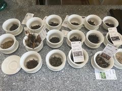 -上席擂茶·新中式青年茶馆(古城店)