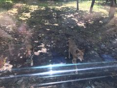 -西安秦岭野生动物园