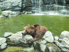 -北京野生动物园