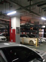 -上海交通大学医学院附属上海儿童医学中心(陆家嘴总院区)