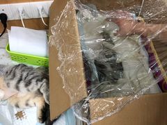 -联合动物医院(光谷诊疗中心)