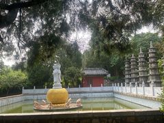 -泰山风景名胜区-普照寺