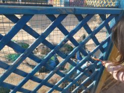 -萌宠亲子动物乐园(槐房万达店)