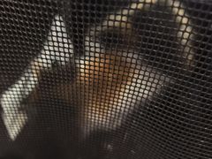 -伟伟宠物医院·CT影像中心·瑞派犬猫综合性门诊(汉口总院)