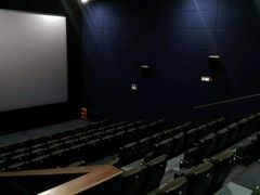 -大地影院(合肥铜陵路桥店)