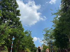 -美的鹭湖探索王国