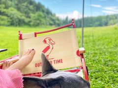 -武陵山森林公园