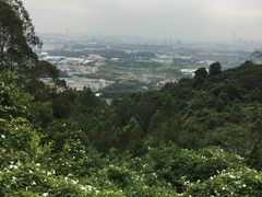 -火炉山森林公园