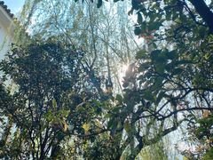 -蓝壁虎咖啡酒馆