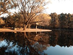 -上海共青森林公园