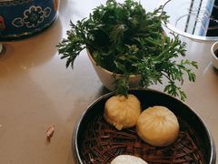 -享月汤皇(高新区店)