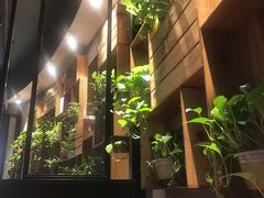 -比格比萨自助(花园路店)
