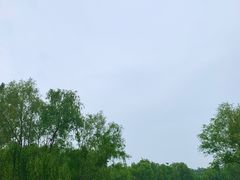 -西安浐灞国家湿地公园