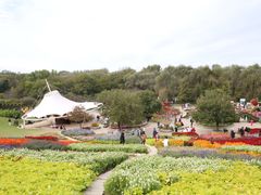 -沈阳植物园
