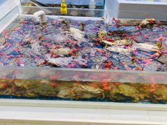 -集品鲜湾·蒸汽海鲜自助料理(青岛银座和谐广场店)