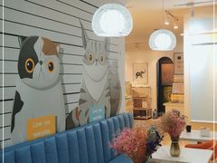 大堂-Tomado绿色烘焙(大尧三路店)