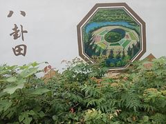 -八卦田遗址公园