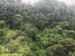 -白云山索道-售票处