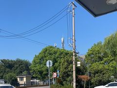 -金典银峰老鹅馆(花园路店)