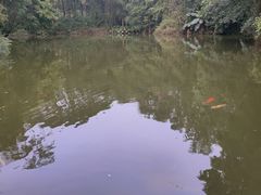 -荔香公园