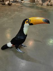 -Zoolung Zoolung动物主题公园(海信广场店)