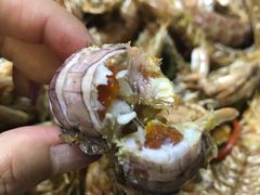 -罗记家常菜(鸿景花园店)