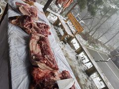 -武陵山森林公园