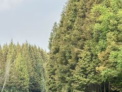 -桤木河湿地公园