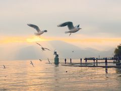 -西昌邛海湿地