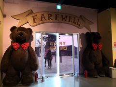 -济州岛泰迪熊博物馆