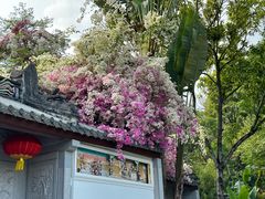 -深圳国际园林花卉博览园