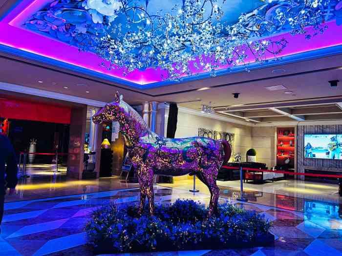 纯k(工体店)-"基本上这家店刚开张就来了,看中的就是服务.