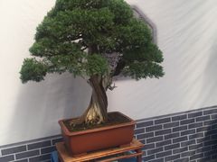 -一米阳光咖啡店(百通尚风尚水店)