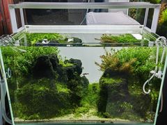 -ADA自然水景世界