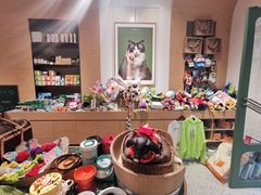-電力宠物公司(武定路店)