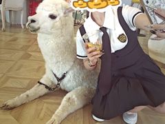 -Blue Concept Cafe&Farm·關於藍