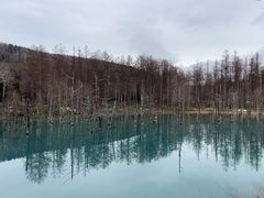 -青池