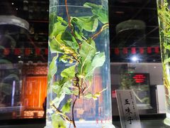 -广东中医药博物馆