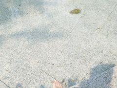 -天赐温泉