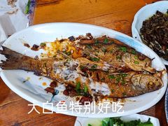 -鱼乐岛餐厅·户外花园主题餐厅