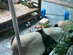 -青藏高原野生动物园