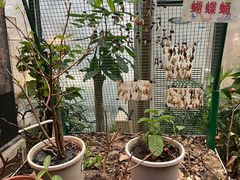 -上海昆虫博物馆