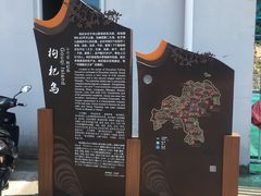 -枸杞岛