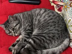 -宠颐生中康贝怡动物医院